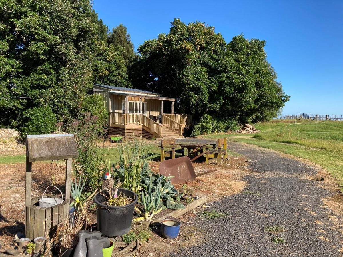 The Treehut Villa Ohauiti Exteriör bild